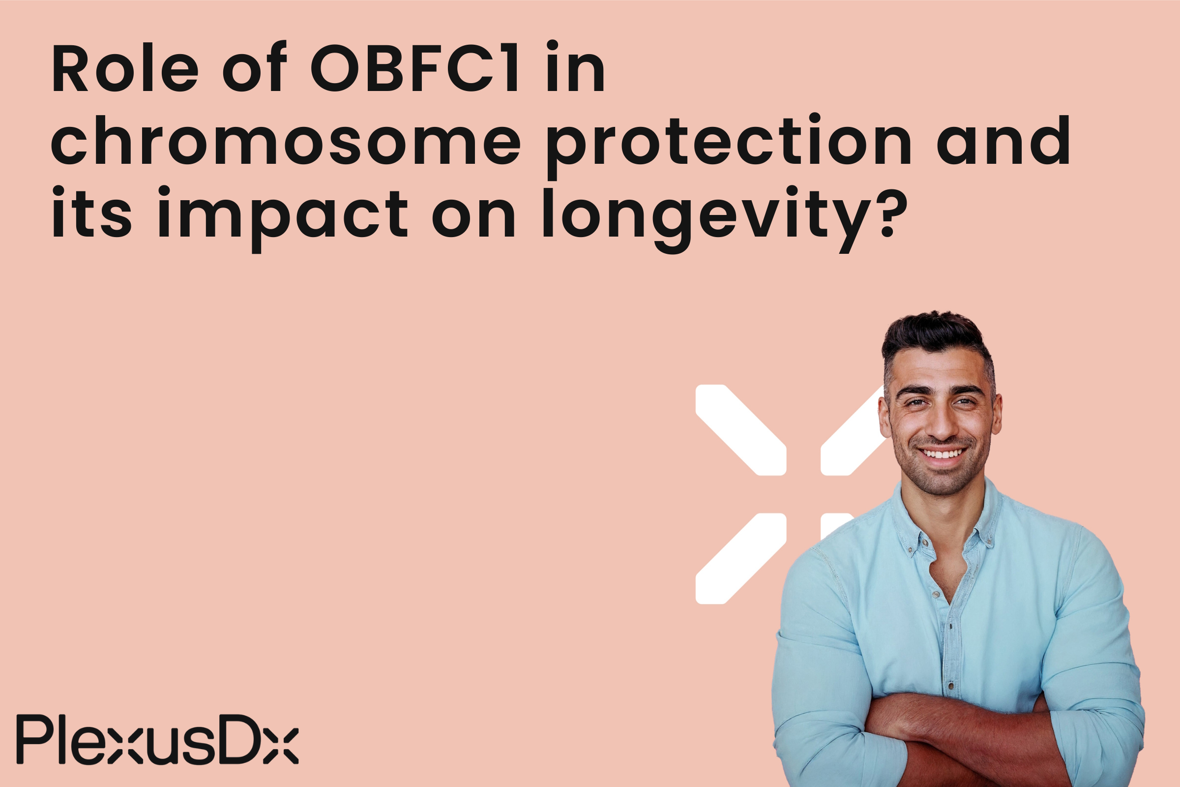 Role of OBFC1 in chromosome protection and its impact on longevity?