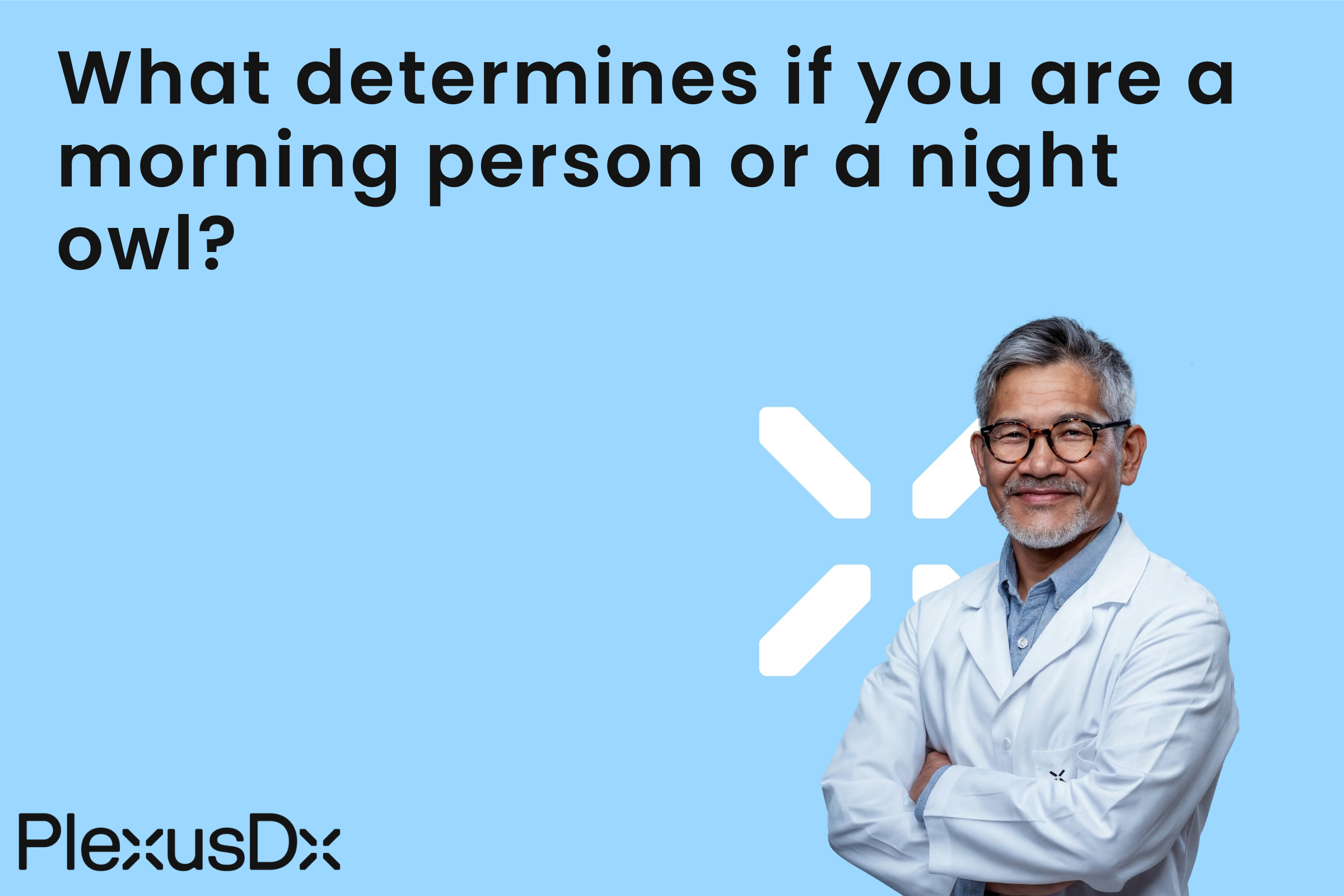 What determines if you are a morning person or a night owl?
