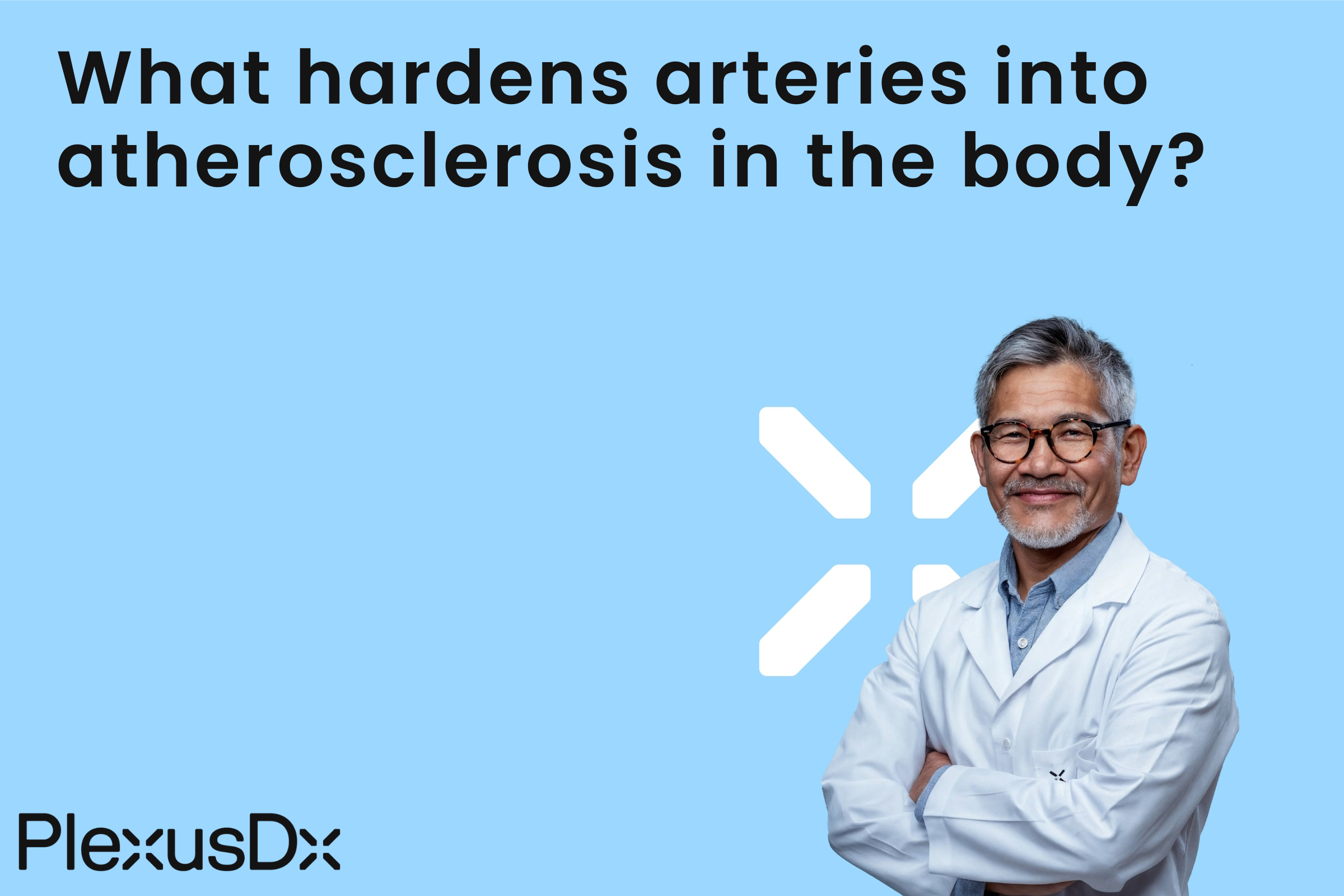 What hardens arteries into atherosclerosis in the body?
