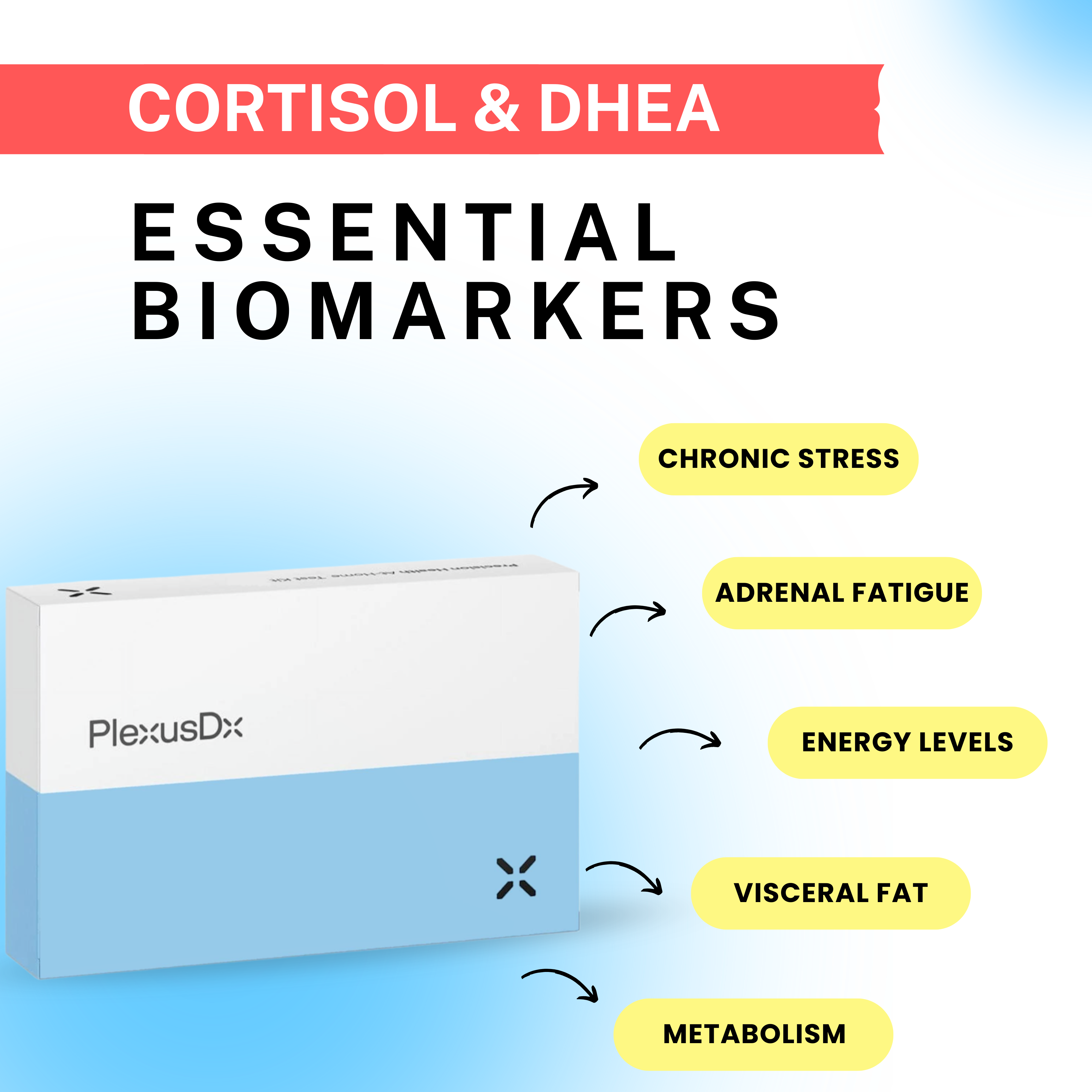 Cortisol & DHEA-S Blood Test