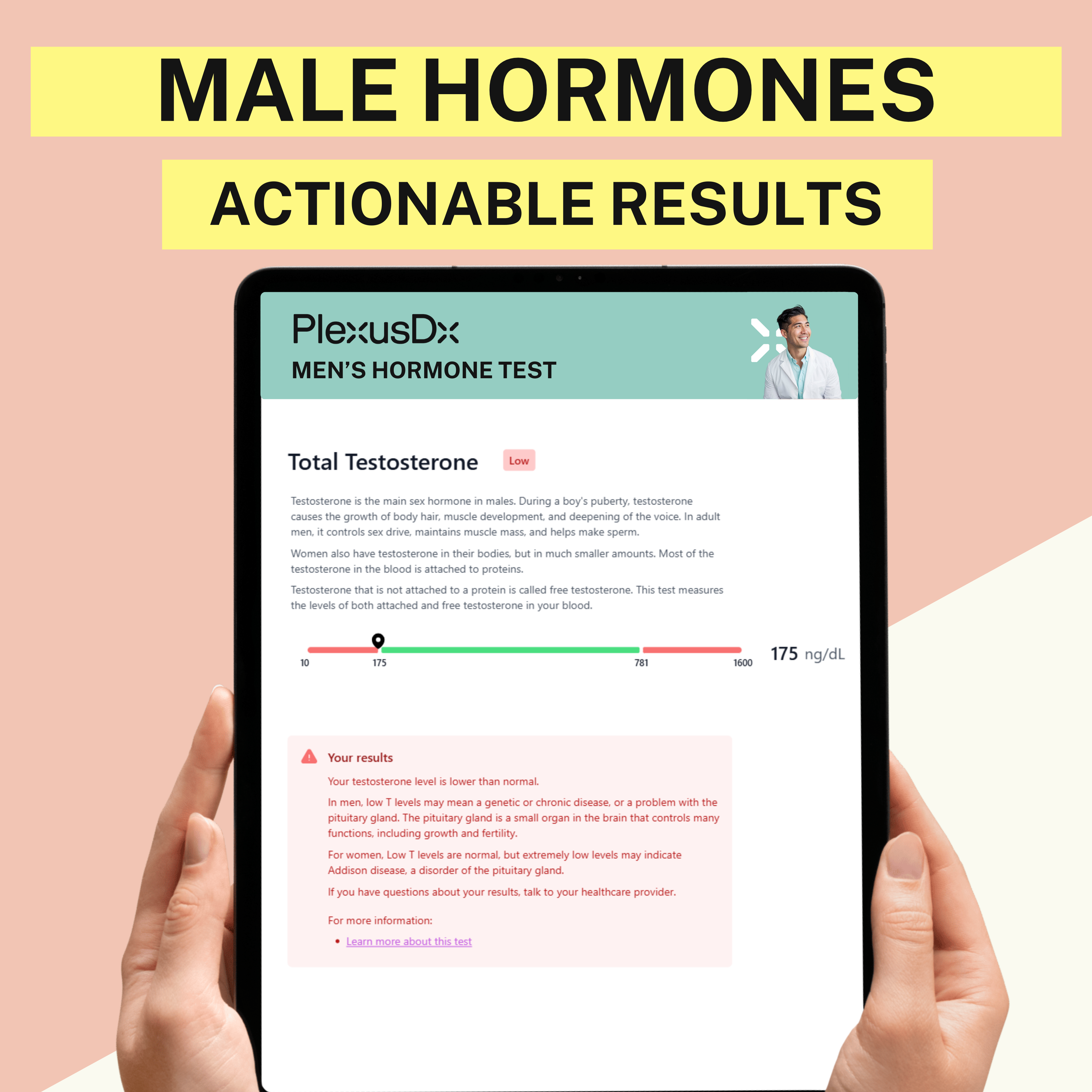 Men's Hormone Blood Test