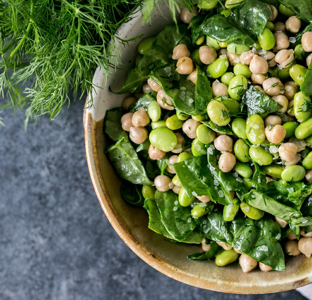 High Protein Diet (Plant-Based)