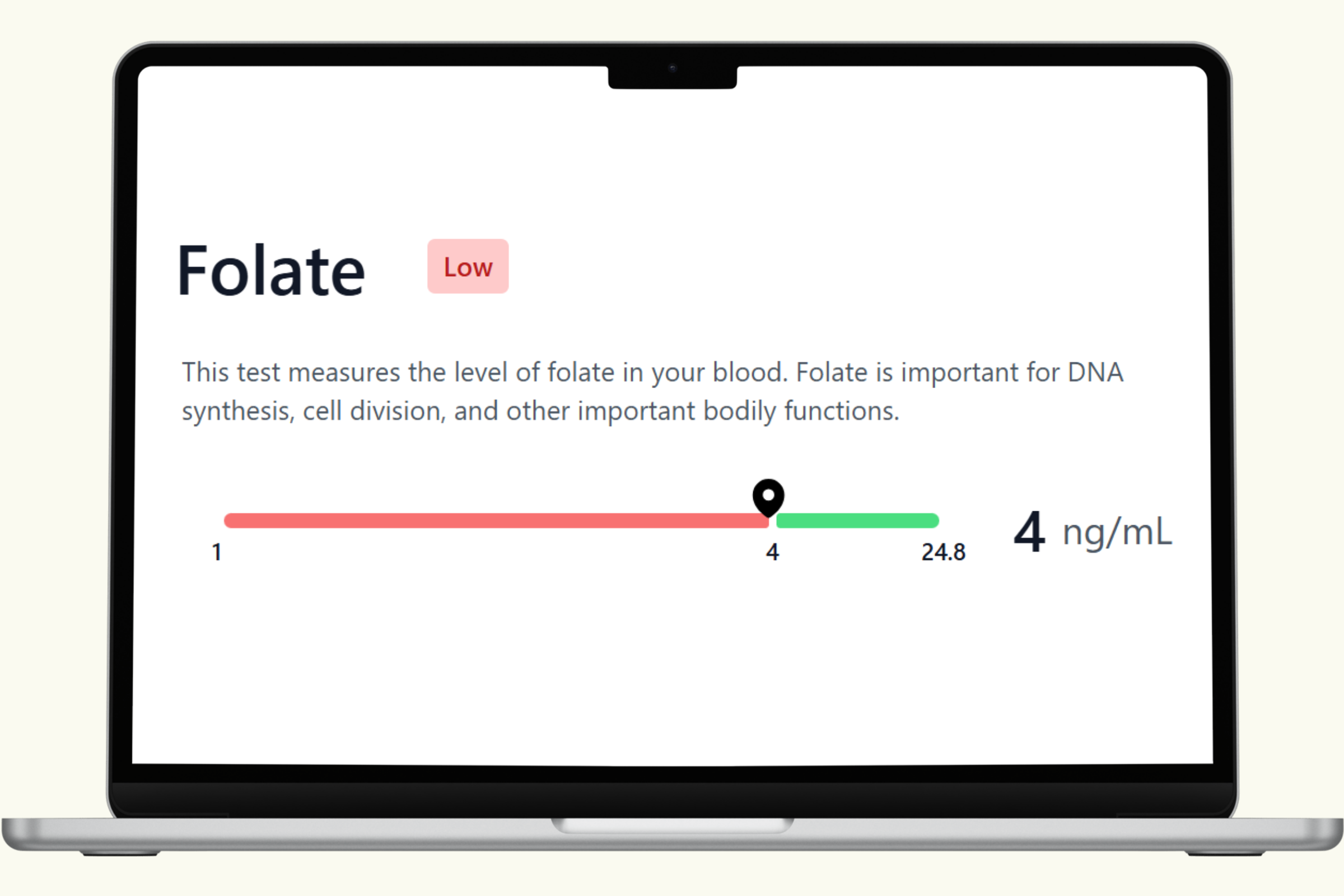 Folate (B9) Blood Test