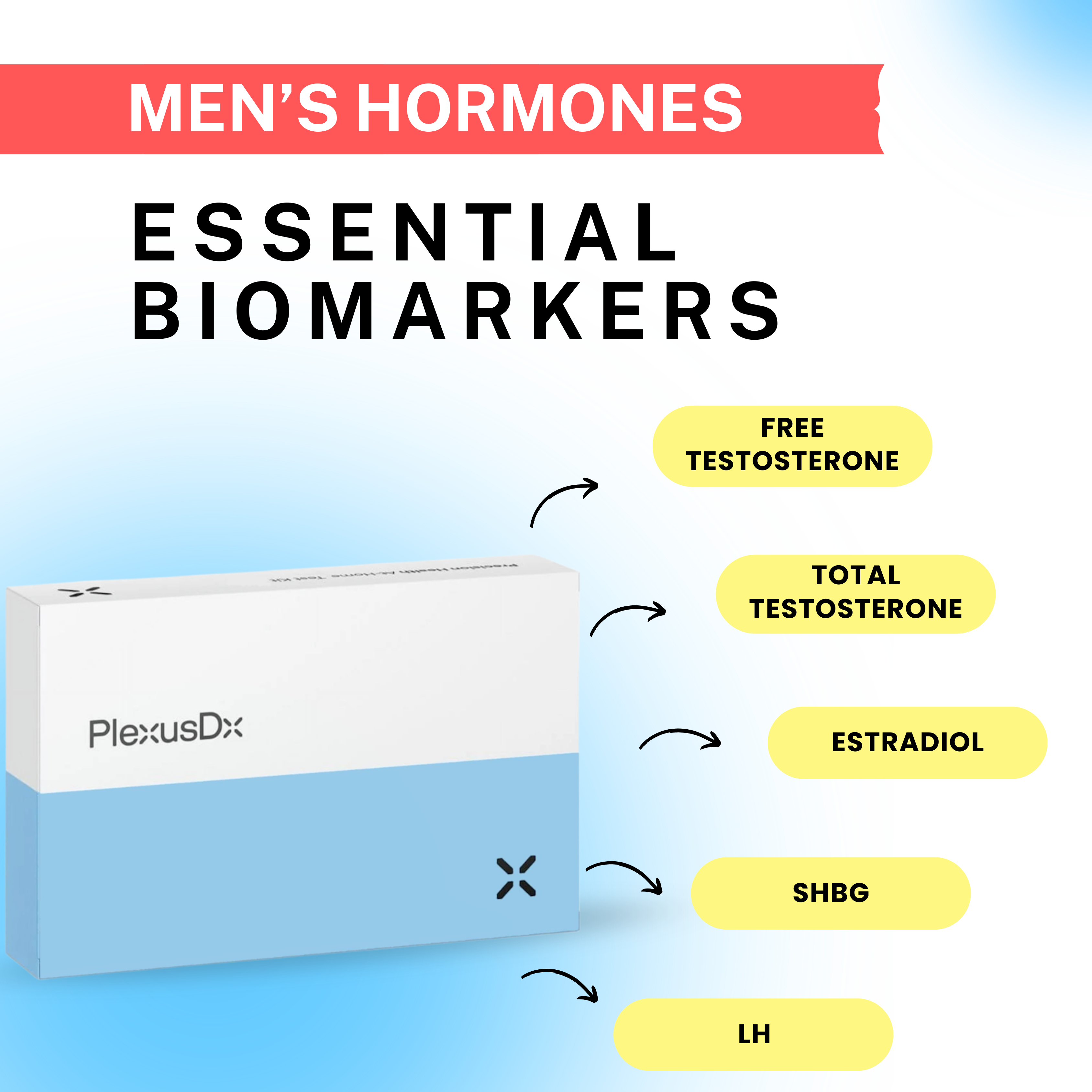 Men's Hormone Blood Test