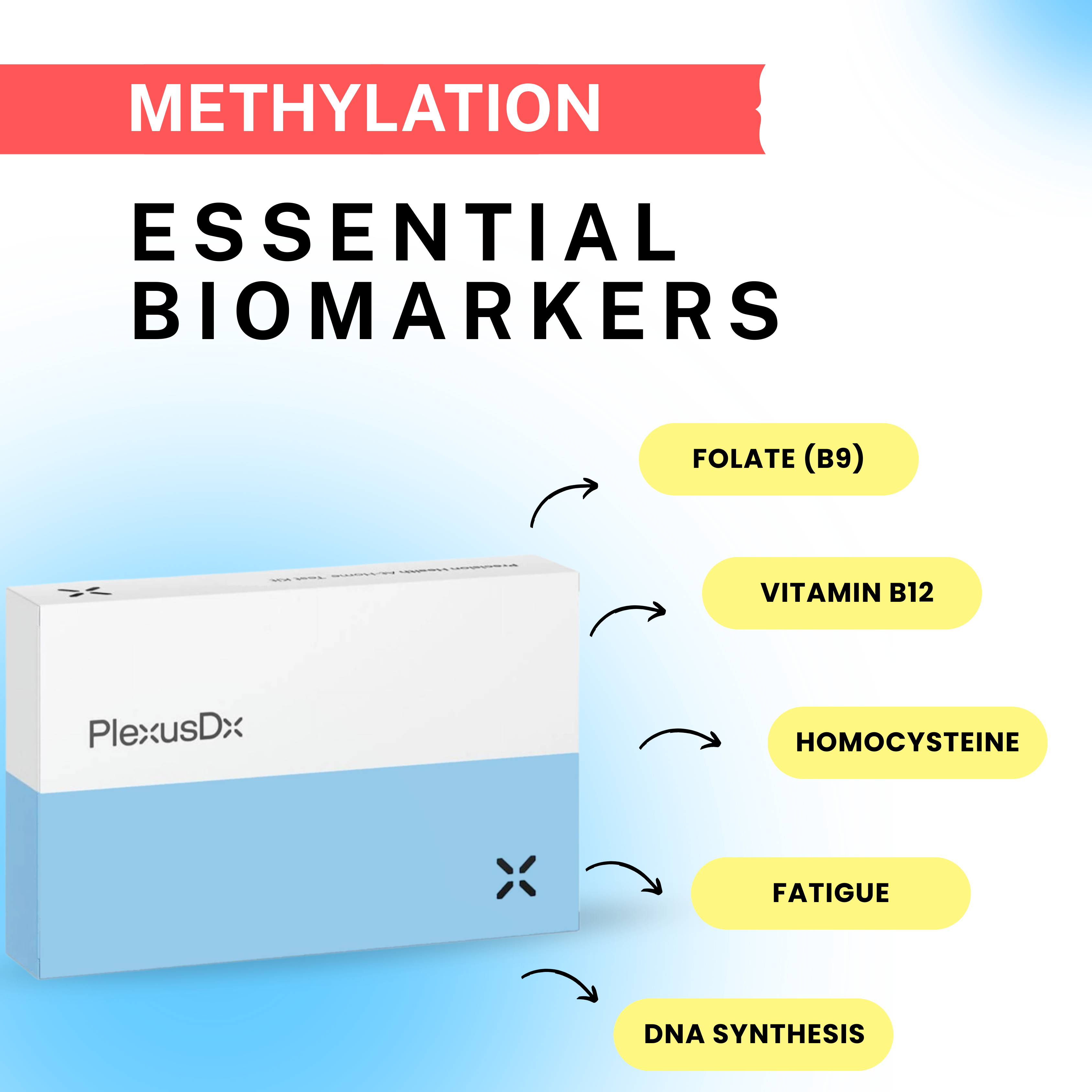 Methylation Panel Blood Test